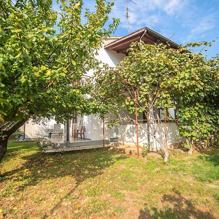 Villa Aleksandar 波雷奇 外观 照片
