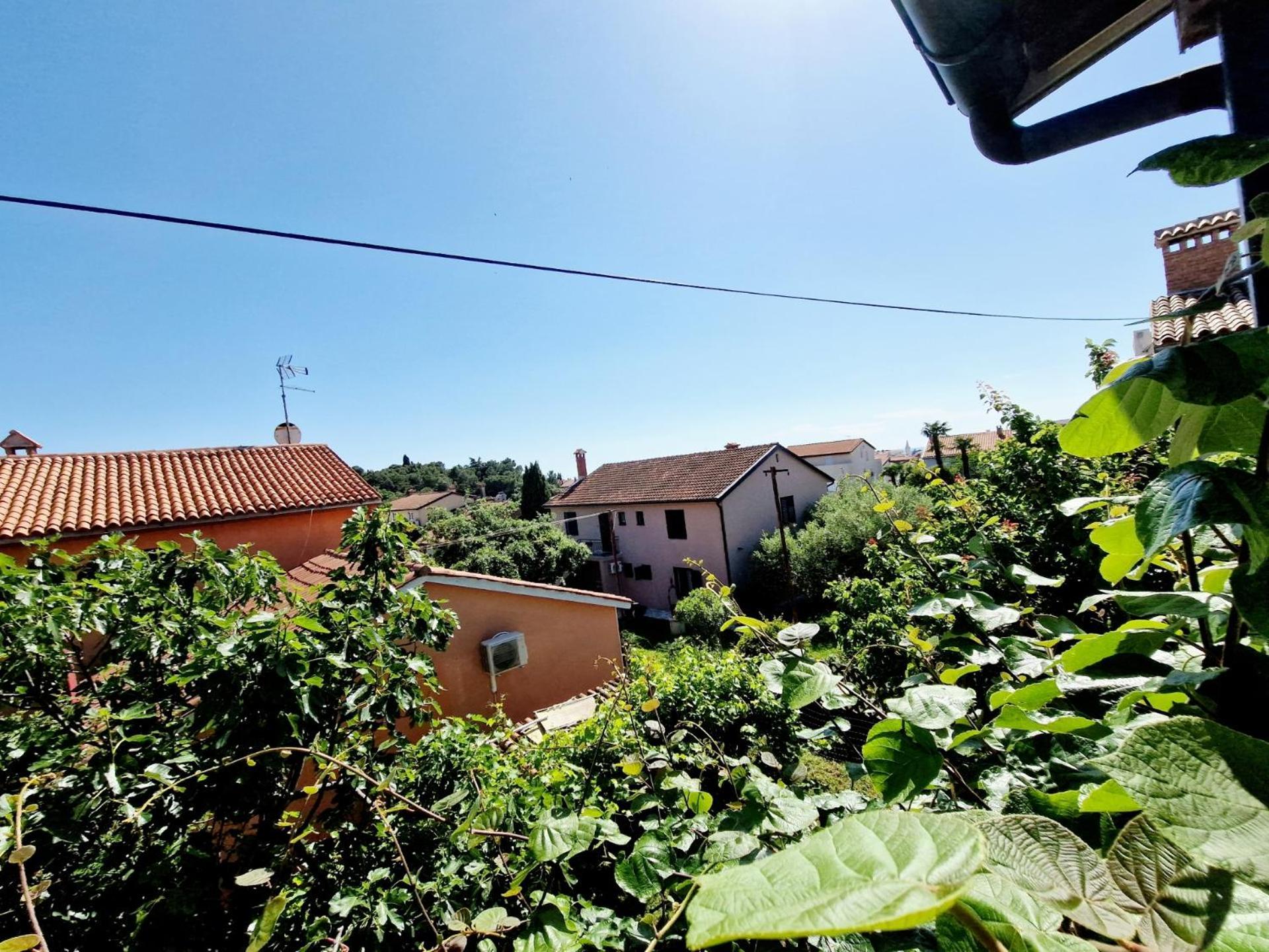 Villa Aleksandar 波雷奇 客房 照片